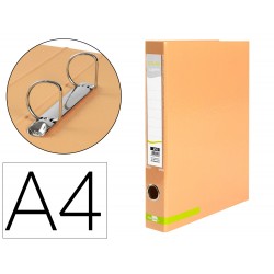 CARPETA DE 2 ANILLAS 25 MM...