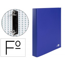 CARPETA DE 2 ANILLAS 25MM...