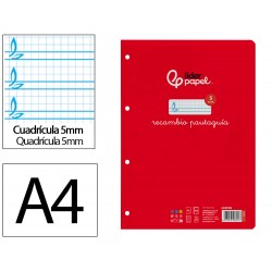 RECAMBIO PAUTAGUIA...