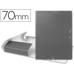 CARPETA PROYECTOS...