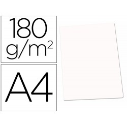 SUBCARPETA CARTULINA...