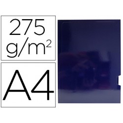 SUBCARPETA 2 SOLAPAS...