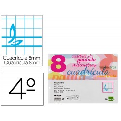 RECAMBIO PAUTAGUIA...