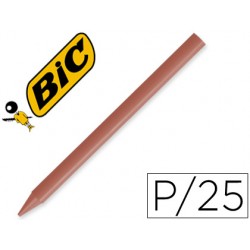 LAPICES PLASTIDECOR...