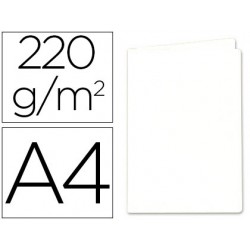 SUBCARPETA CARTULINA...