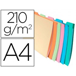 SUBCARPETA CON PESTAÑA...