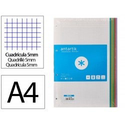 RECAMBIO ANTARTIK A4 80...