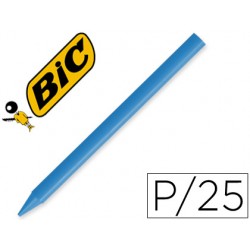 LAPICES PLASTIDECOR...