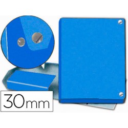 CARPETA PROYECTOS PARDO...