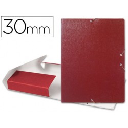 CARPETA PROYECTOS...