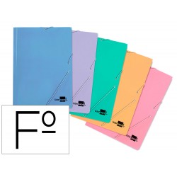 CARPETA LIDERPAPEL GOMAS...