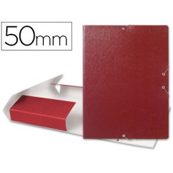 CARPETA PROYECTOS...