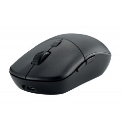 RATON KENSINGTON MY430 EQ...
