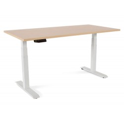 MESA DE OFICINA ROCADA...