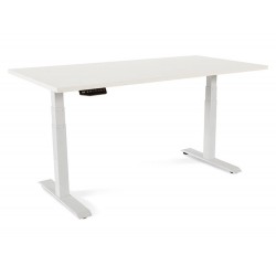 MESA DE OFICINA ROCADA...