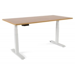 MESA DE OFICINA ROCADA...