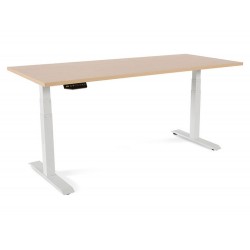 MESA DE OFICINA ROCADA...