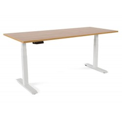 MESA DE OFICINA ROCADA...