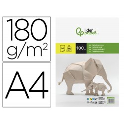 CARTULINA LIDERPAPEL A4...