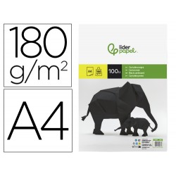 CARTULINA LIDERPAPEL A4...