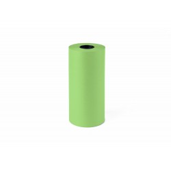 PAPEL FANTASIA KRAFT LISO...