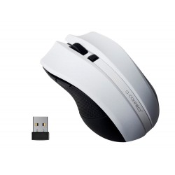 RATON Q-CONNECT OPTICO...
