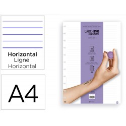RECAMBIO CUADERNO CARCHIVO...