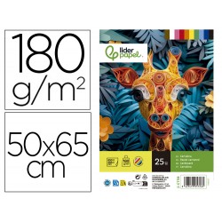 CARTULINA LIDERPAPEL 50X65...