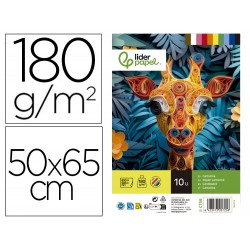 CARTULINA LIDERPAPEL 50X65...