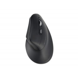 RATON KENSINGTON MY630 EQ...