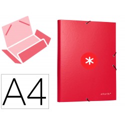 CARPETA ANTARTIK GOMAS TRES...