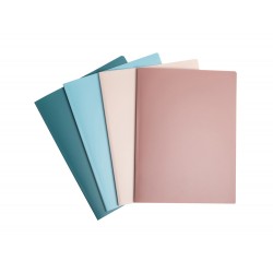 CARPETA ESCAPARATE...