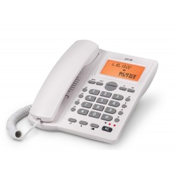 TELEFONO SPC OFFICE ID...