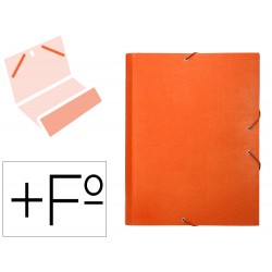 CARPETA CLASIFICADORA...