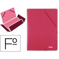 CARPETA LIDERPAPEL GOMAS...