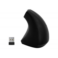 RATON Q-CONNECT OPTICO...