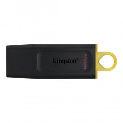 MEMORIA USB  KINGSTON DATA...