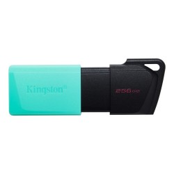 MEMORIA USB  KINGSTON DATA...