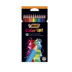 LAPICES DE COLORES BIC...