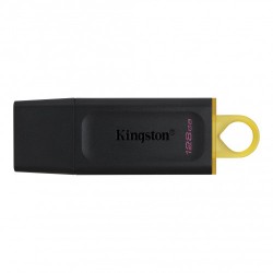 MEMORIA USB  KINGSTON DATA...