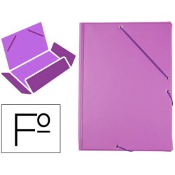 CARPETA LIDERPAPEL GOMAS...