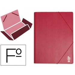 CARPETA LIDERPAPEL GOMAS...