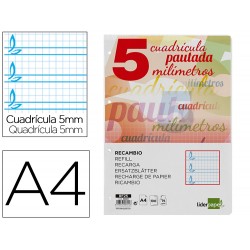 RECAMBIO PAUTAGUIA...