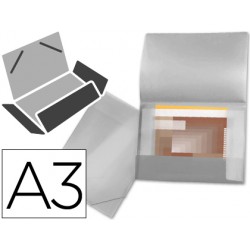 CARPETA LIDERPAPEL...