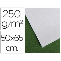 PAPEL SECANTE CANSON 50X65...