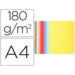 SUBCARPETA CARTULINA...