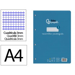 RECAMBIO PAUTAGUIA...